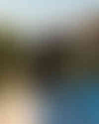 1B2A0585.jpg