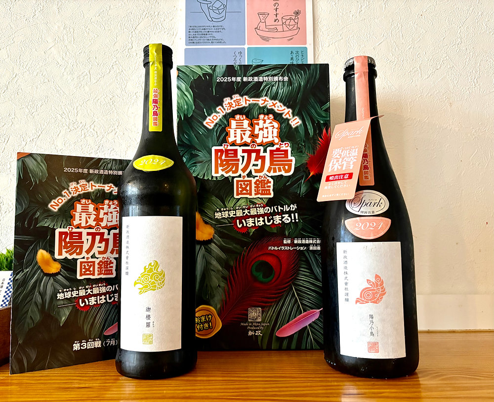 新政 特別頒布会2025 飲み比べ+日本酒セルフ飲み放題