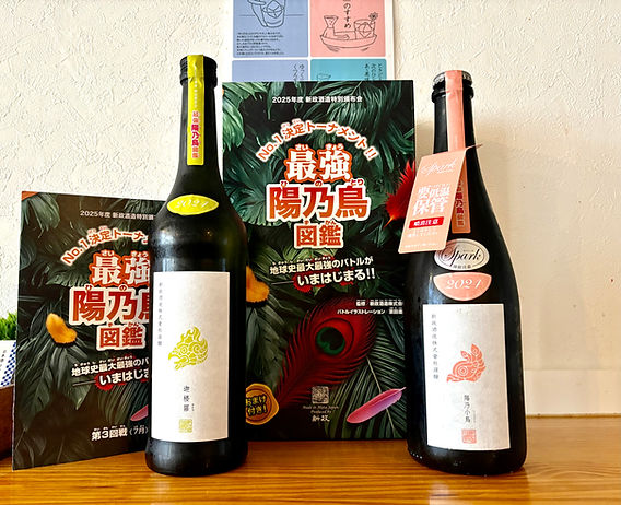 新政 頒布会酒 5月分 新政 特別頒布会2025 飲み比べ+日本酒セルフ飲み放題