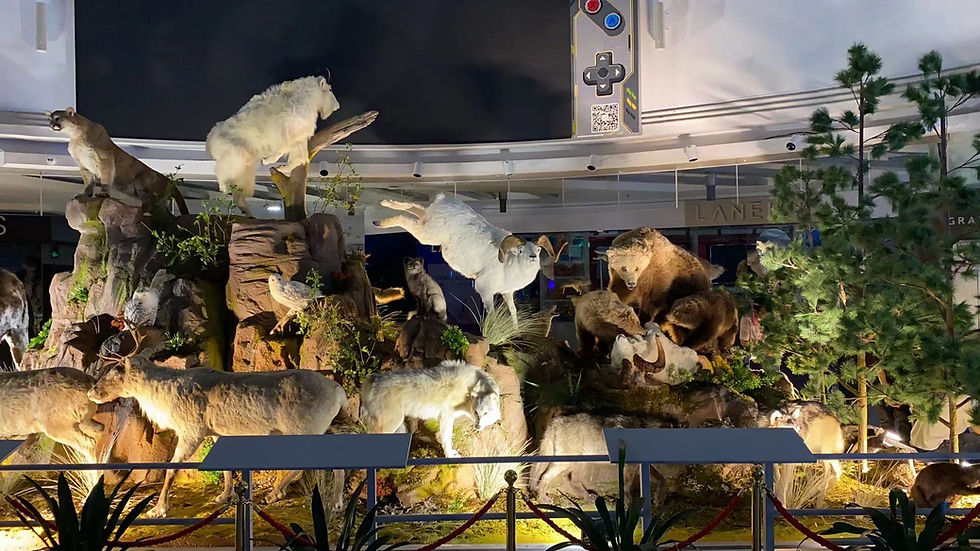 Taxidermy display in Guangzhou mall