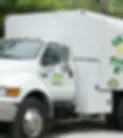 certified-tree-removal-loganvile.webp