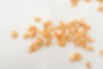 RA Lesso_Dried Shrimp