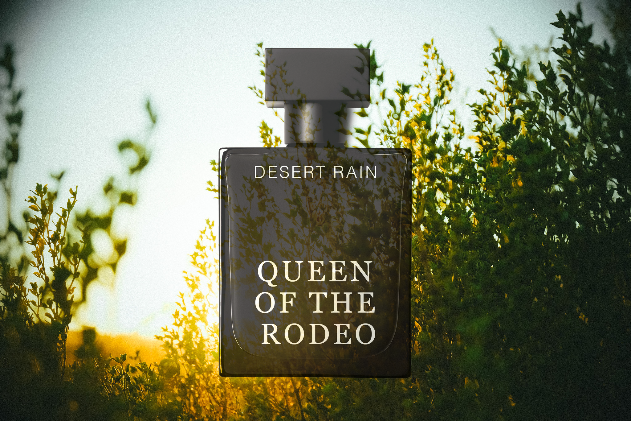 LLUVIA DEL DESIERTO • PERFUME