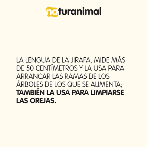 Feb-Mar NATURANIMAL-22