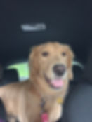Penny
