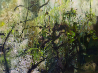 Flora