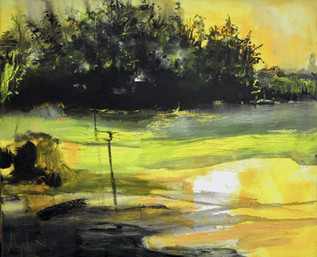 Vincent`s wonderland