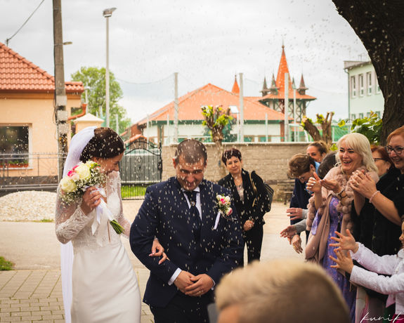 IMG_5868.jpg