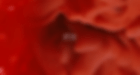 Untitled design (2).gif