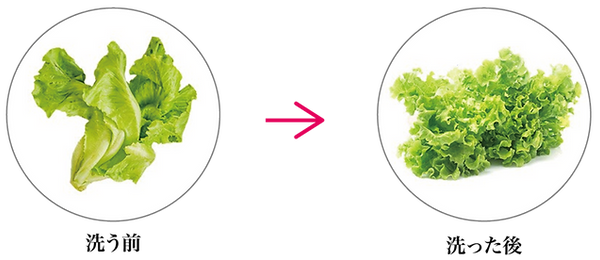 ヒートショックプロテイン