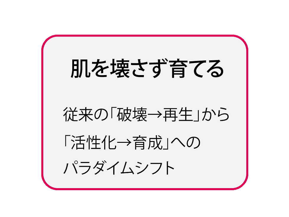 光糸リフト説明