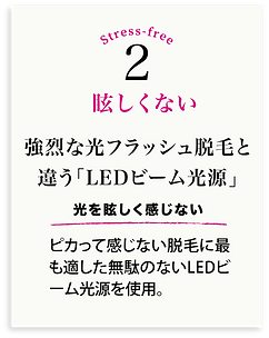 LEDミルフィーユ脱毛1