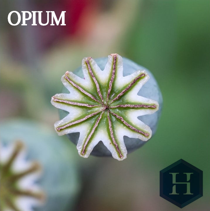 Esencia de Opium