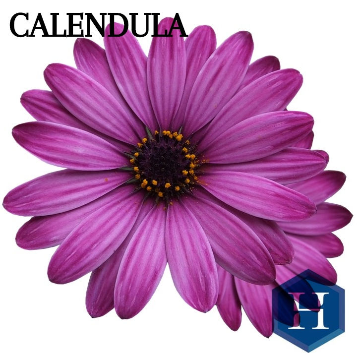 Esencia de Calendula