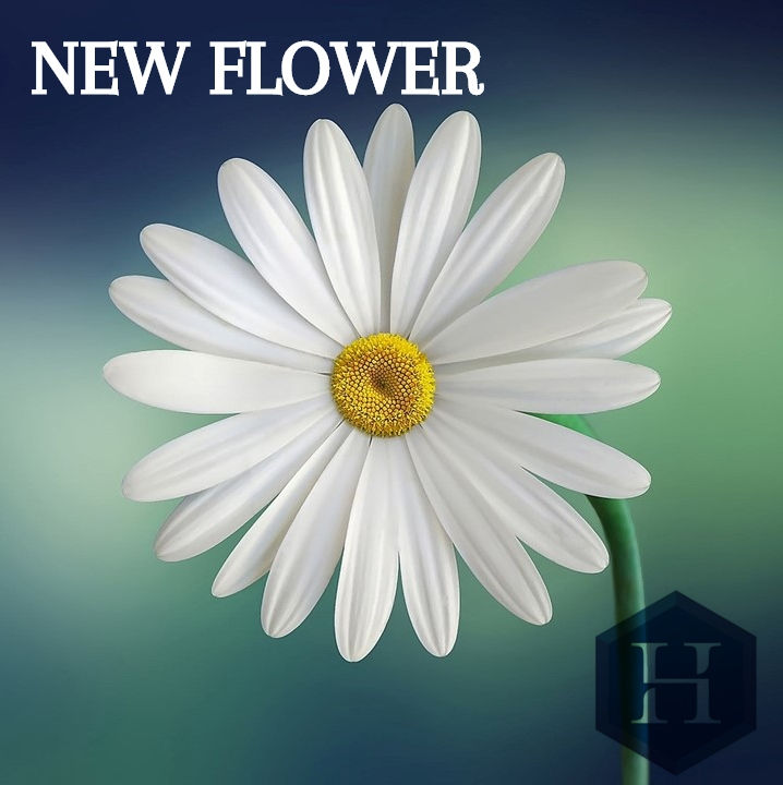 Esencia de New Flower