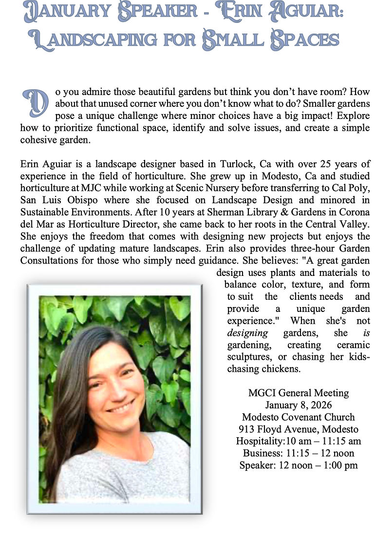 Screenshot 2026-01-01 at 5.53_edited.jpg