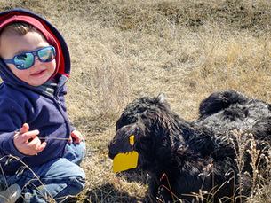 Becoming a Business First Family