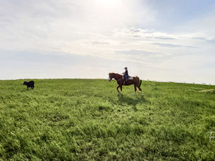 Your Youth Education Program