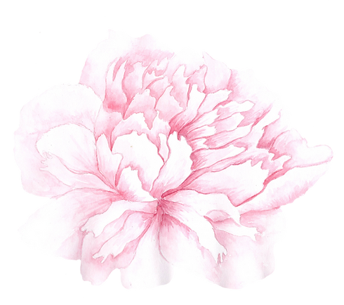 PEONIES018.png