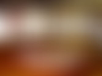 稲妻フェスティバル2025 にDLMSは出店いたします!!