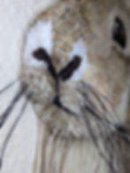 Thumbnail: "Hispid Hare-Loom" Fiber Piece