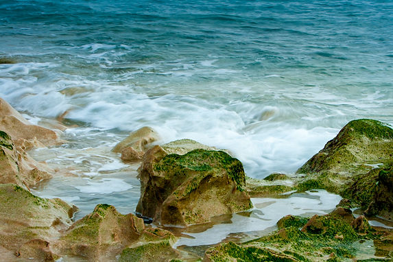 Still Stones Gather Moss