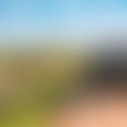 Zanzibar et Safaris Privés : Découvrez la Tanzanie Autrement