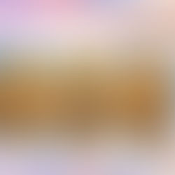 De Jaipur au Kerala : Vivez un Voyage de Luxe à Travers les Merveilles de l’Inde