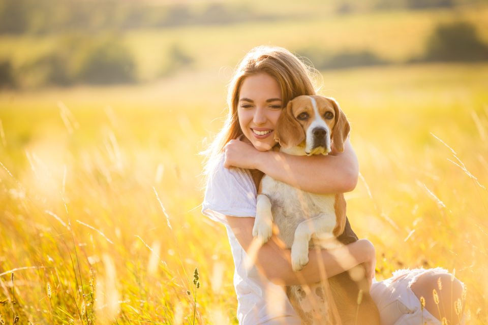 Pourquoi punir un chien peut empirer ses troubles comportementaux ?