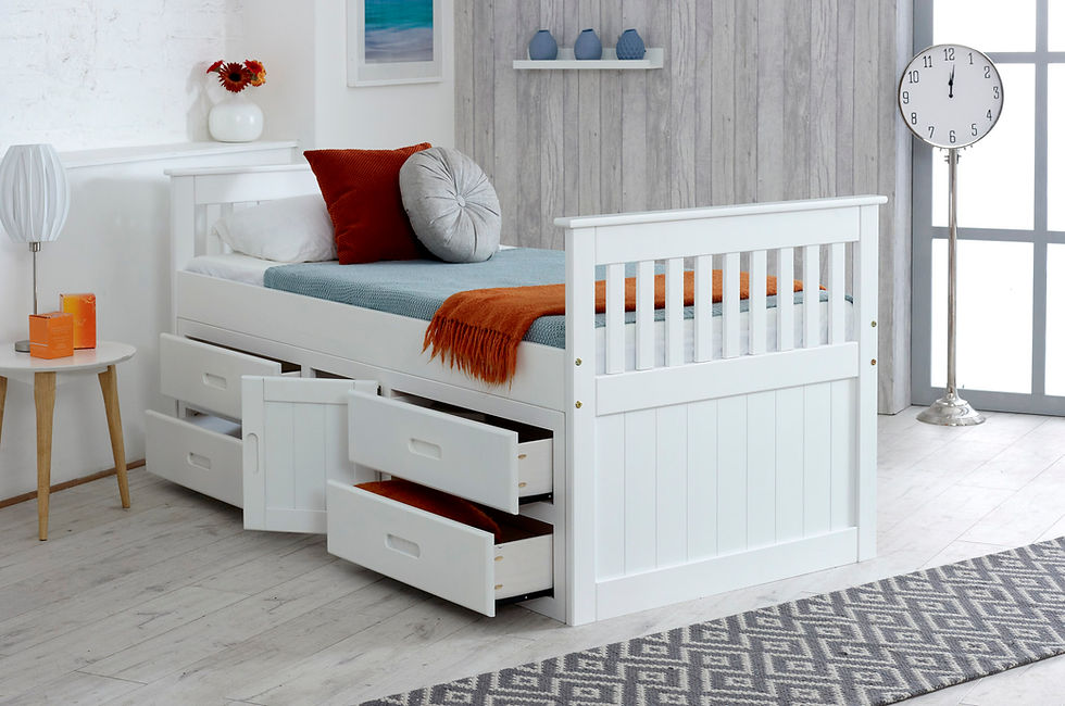 Storage & Guest Beds
