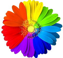 e0949bfb-6c64-442d-a6a2-daaf86e514ed.png