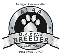 Michigan Silver Paw 2026.png