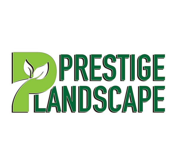 Full Color Logo Clear Background copy1.png