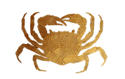 crab no background.png