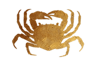 crab no background.png