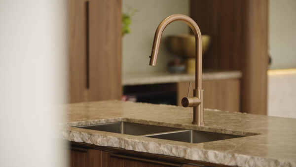 Thumbnail: MECCA PULL OUT SINK MIXER WITH VEGIE SPRAY FUNCTION