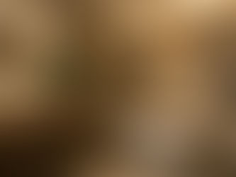 Bathroom Design Trends for 2026: What’s In and What’s Out