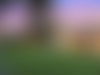 Transform Your Home: Modern Renovation Ideas for a Luxe Look