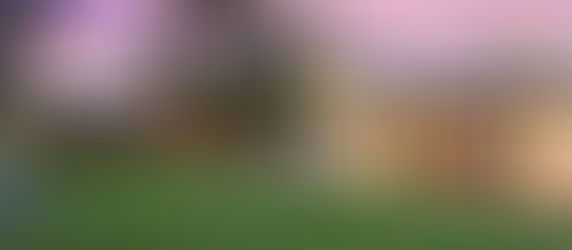 Transform Your Home: Modern Renovation Ideas for a Luxe Look