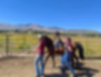 PXL_20200926_193807770edit2.jpg