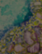 Water Life_edited.jpg