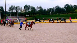 Fête du cheval 2015