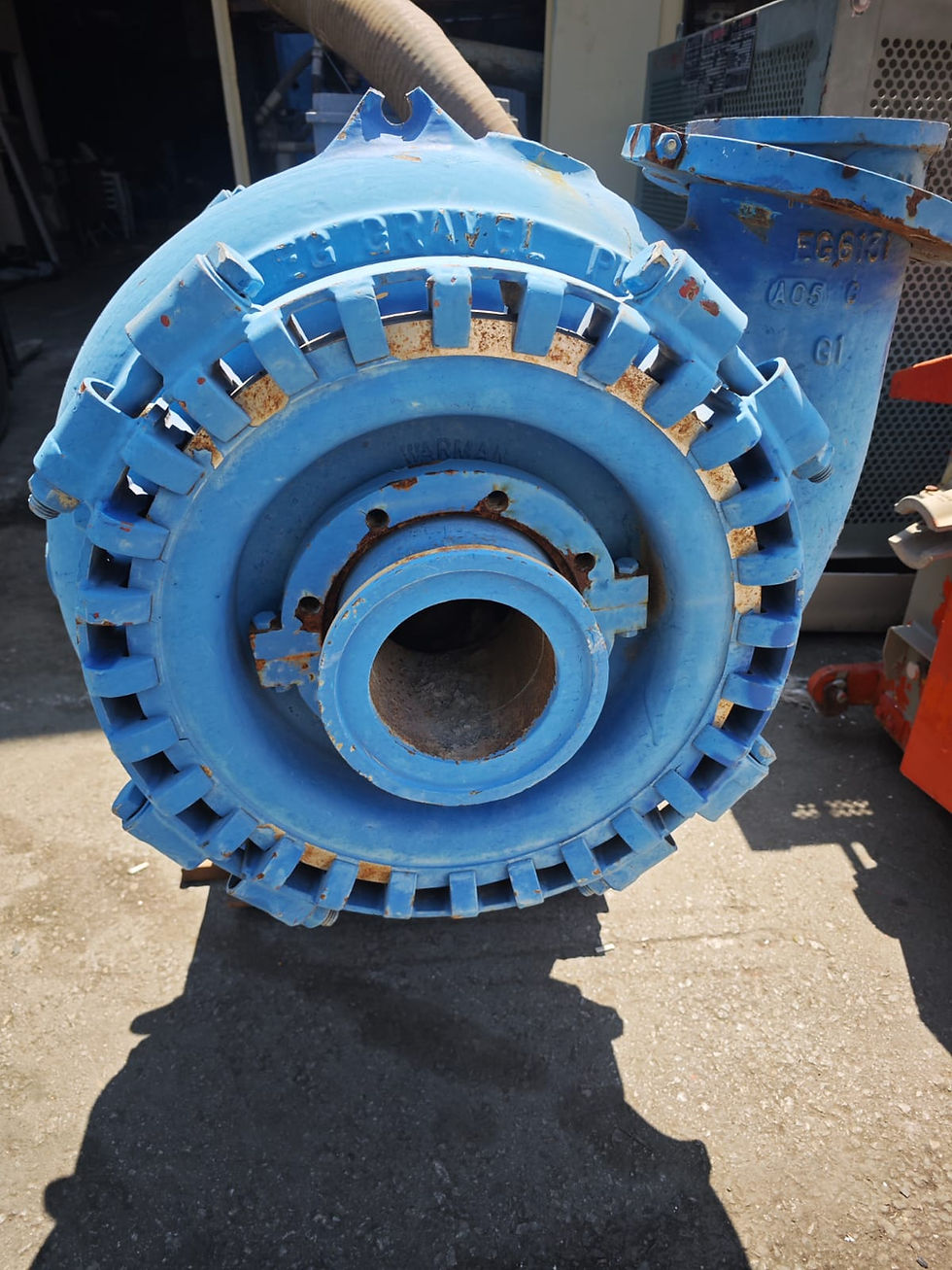 Warman Pompa 6/6 EEG