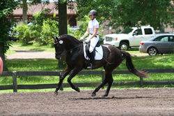 Shedaizycanter