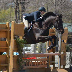 shedaizyjump