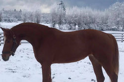BonBaloumare