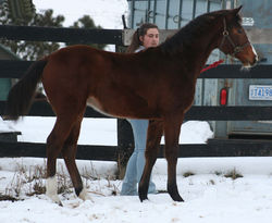 Chantalleprofile122116