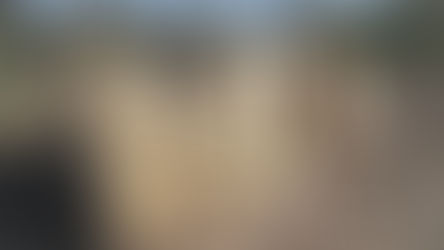 苗が届きました。