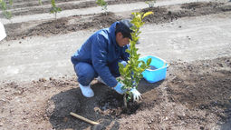 すくすく育つのだよ。