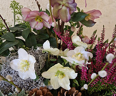 Blumen Diana, Löhningen, Schaffhausen